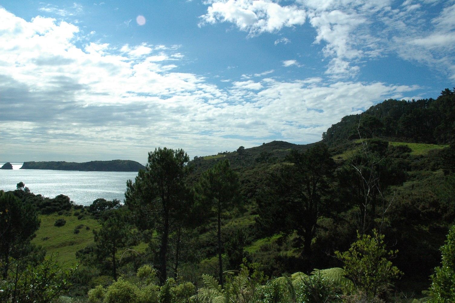 434   06 02   Coromandel   Cathedral Cove